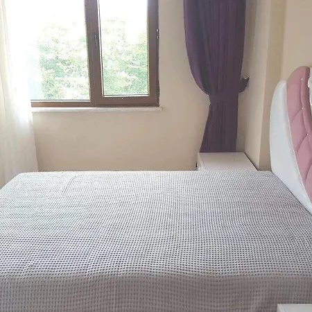 174892 - Atta Villa Sapanca